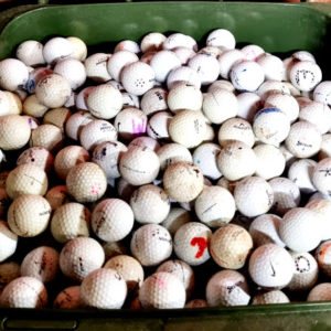 Paddock Balls