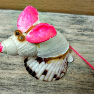 Seashell mouse